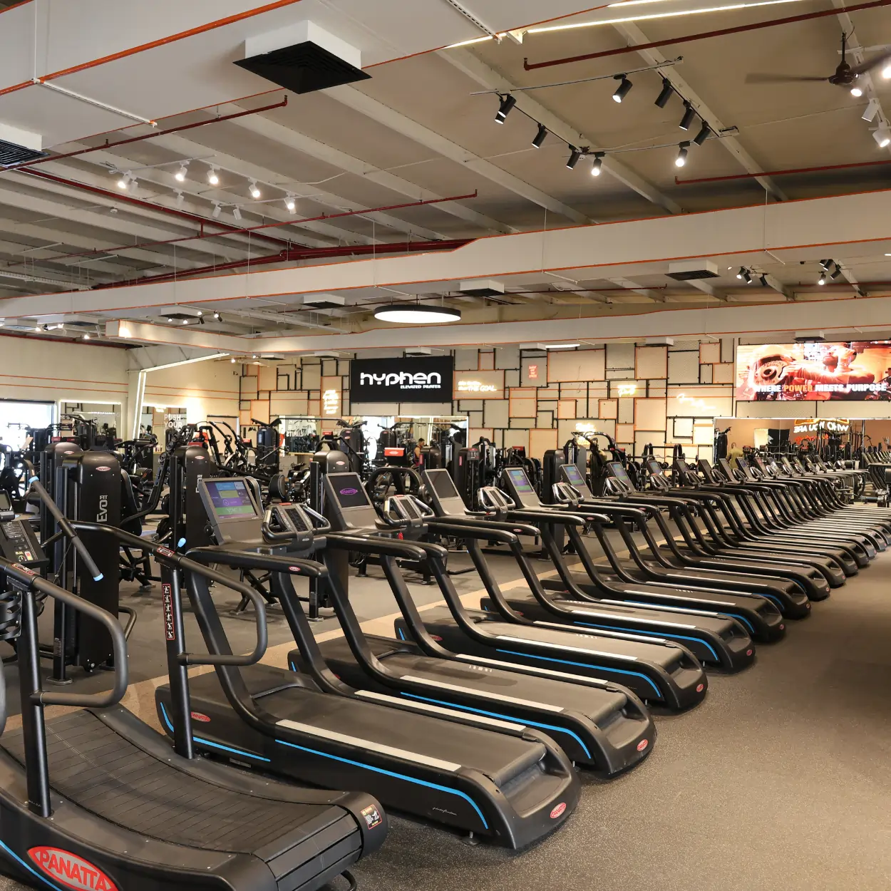 private trainer dubai personal trainer uae